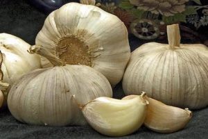 Garlic for antiseptic